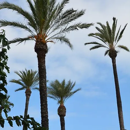 Apartman Flavia I Espalter