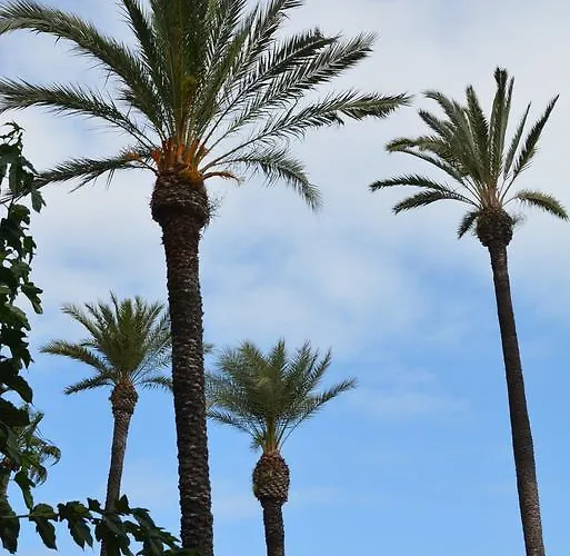 Appartamento Flavia I Espalter